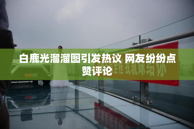 白鹿光溜溜图引发热议 网友纷纷点赞评论