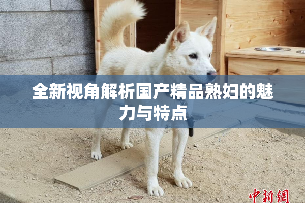 全新视角解析国产精品熟妇的魅力与特点