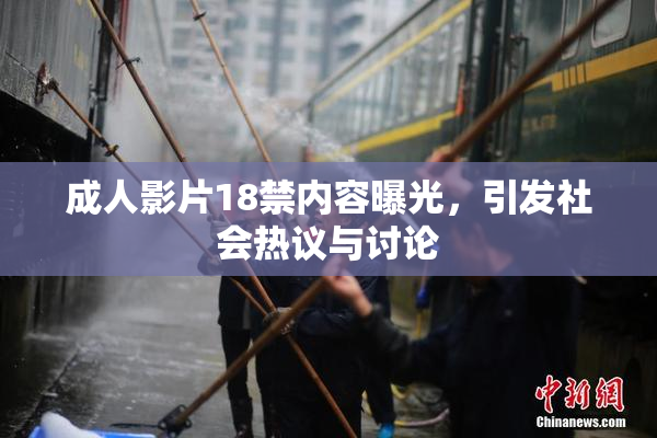 成人影片18禁内容曝光，引发社会热议与讨论