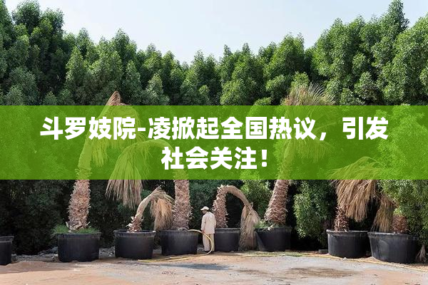 斗罗妓院-凌掀起全国热议，引发社会关注！