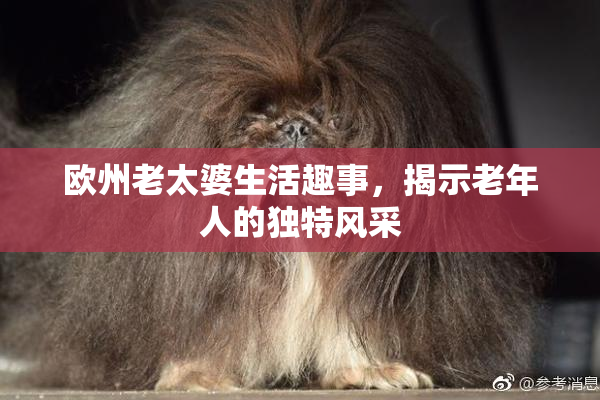 欧州老太婆生活趣事，揭示老年人的独特风采