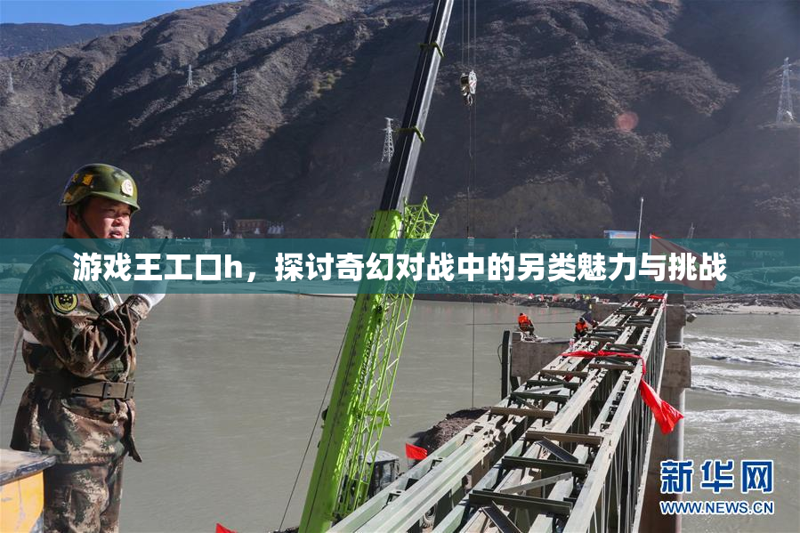 游戏王工口h，探讨奇幻对战中的另类魅力与挑战