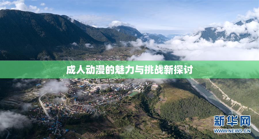 成人动漫的魅力与挑战新探讨