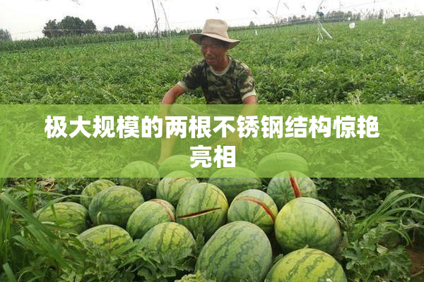 极大规模的两根不锈钢结构惊艳亮相