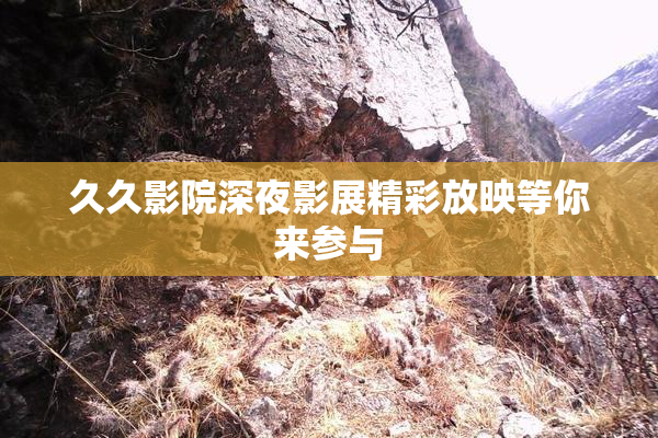 久久影院深夜影展精彩放映等你来参与
