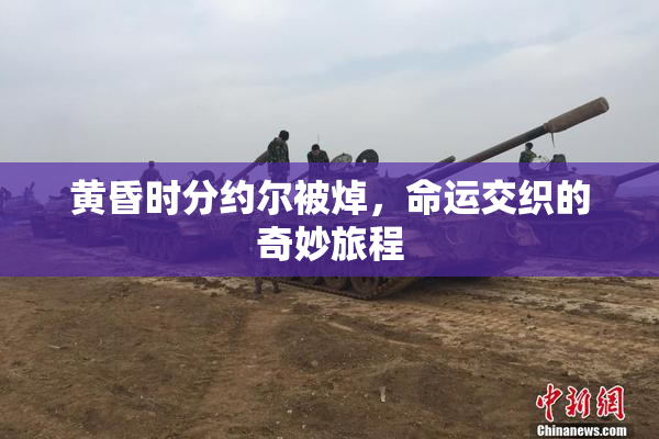 黄昏时分约尔被焯，命运交织的奇妙旅程