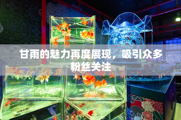 甘雨的魅力再度展现，吸引众多粉丝关注