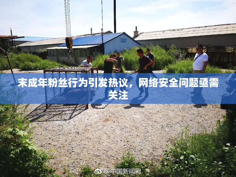 末成年粉丝行为引发热议，网络安全问题亟需关注