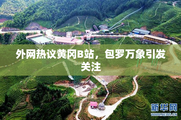 外网热议黄冈B站，包罗万象引发关注