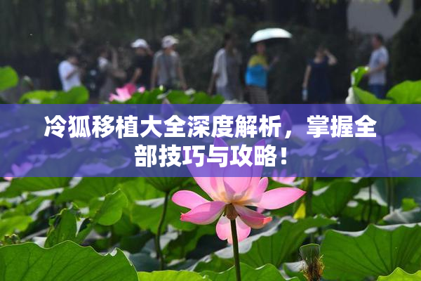 冷狐移植大全深度解析，掌握全部技巧与攻略！