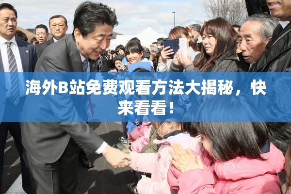 海外B站免费观看方法大揭秘，快来看看！