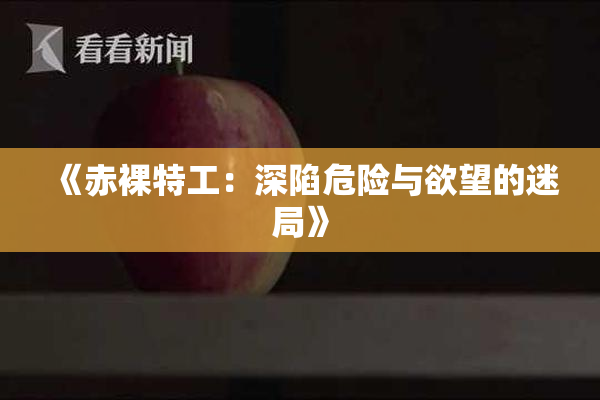 《赤裸特工：深陷危险与欲望的迷局》