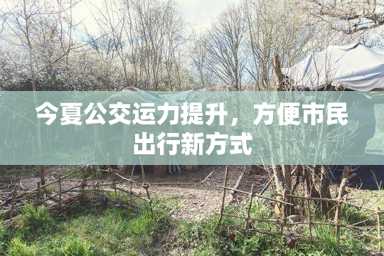 今夏公交运力提升，方便市民出行新方式