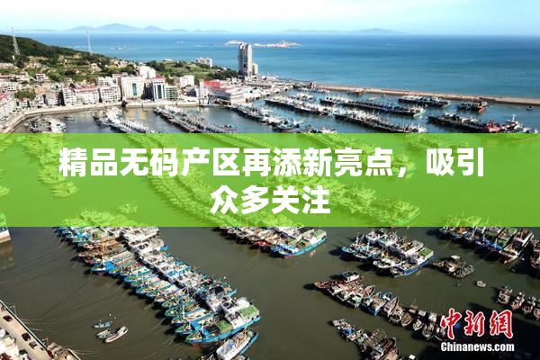 精品无码产区再添新亮点，吸引众多关注