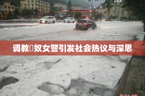 调教婬奴女警引发社会热议与深思