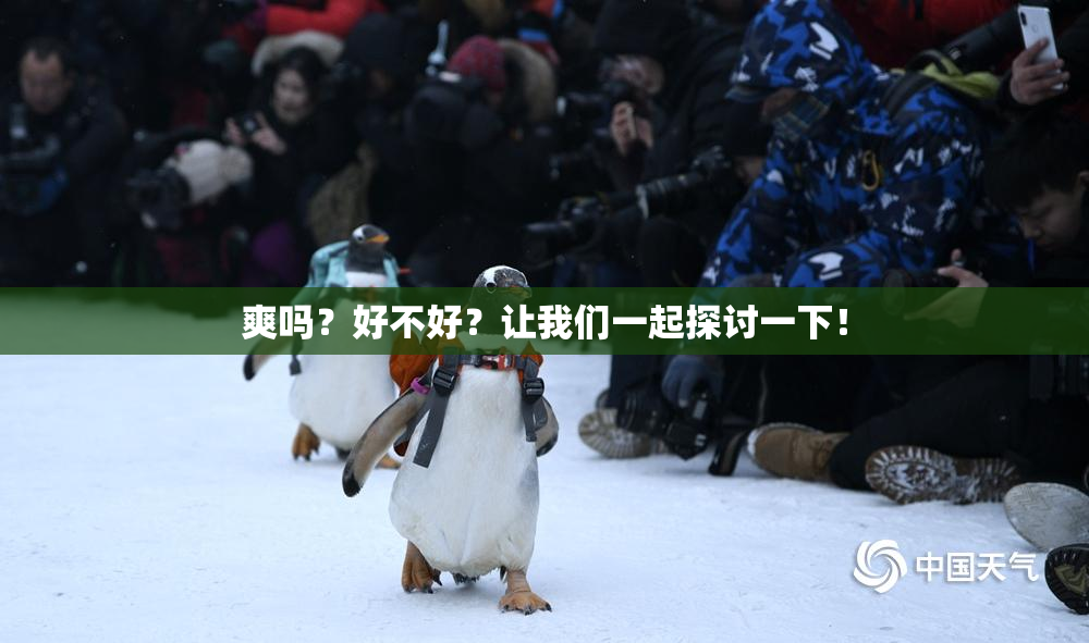 爽吗？好不好？让我们一起探讨一下！