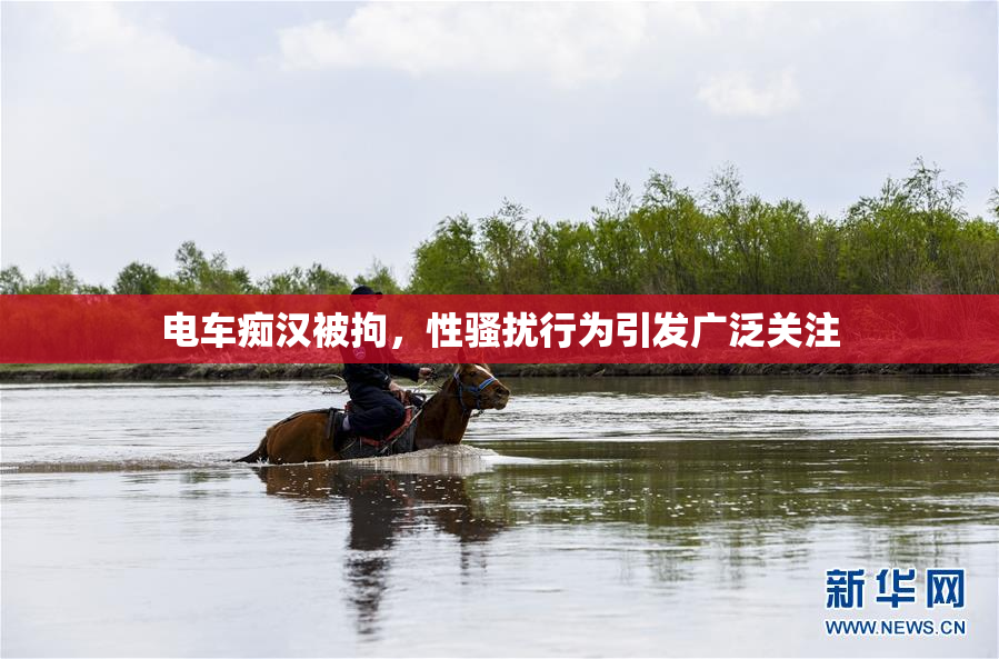 电车痴汉被拘，性骚扰行为引发广泛关注