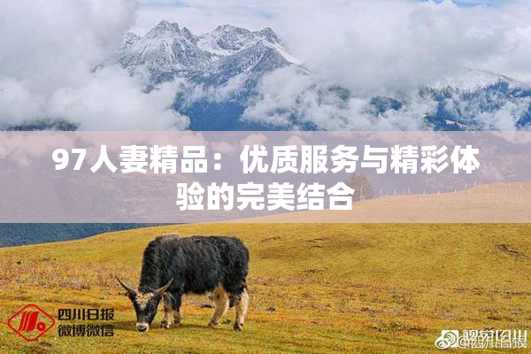 97人妻精品：优质服务与精彩体验的完美结合