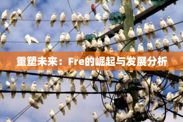 重塑未来：Fre的崛起与发展分析