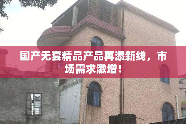 国产无套精品产品再添新线，市场需求激增！