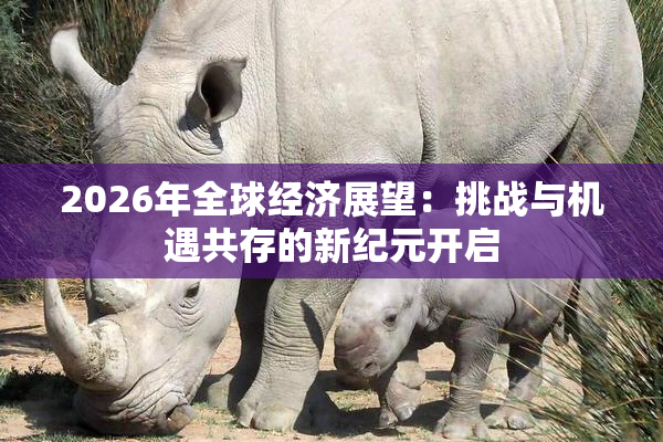 2026年全球经济展望：挑战与机遇共存的新纪元开启