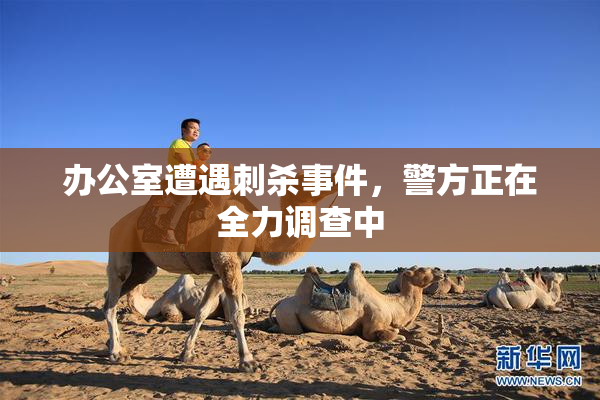 办公室遭遇刺杀事件，警方正在全力调查中