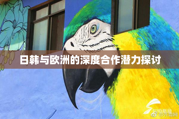 日韩与欧洲的深度合作潜力探讨