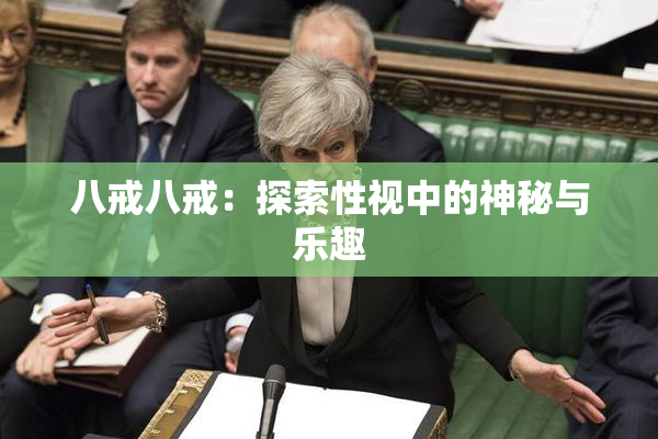八戒八戒：探索性视中的神秘与乐趣