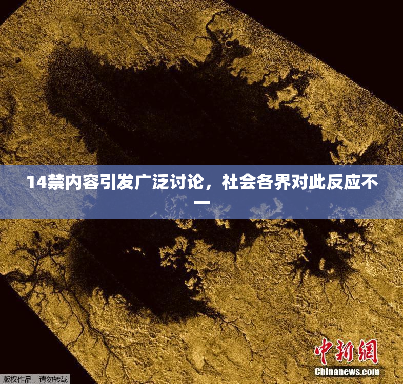 14禁内容引发广泛讨论，社会各界对此反应不一