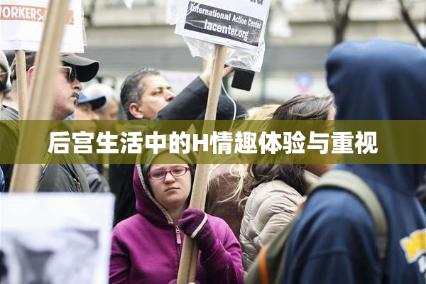 后宫生活中的H情趣体验与重视