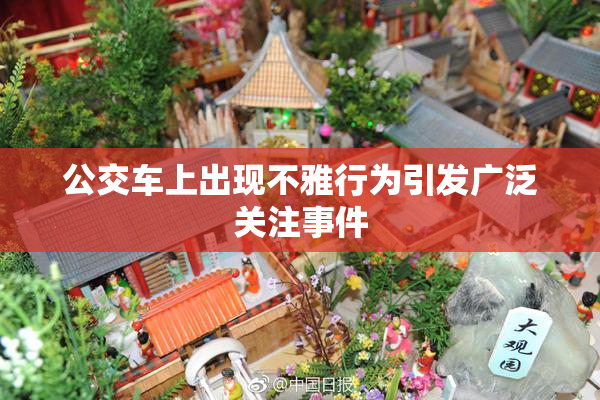 公交车上出现不雅行为引发广泛关注事件