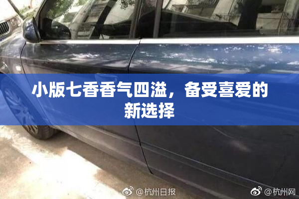 小版七香香气四溢，备受喜爱的新选择