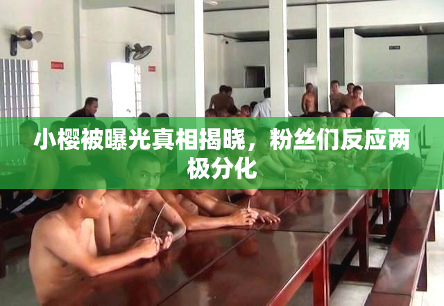 小樱被曝光真相揭晓，粉丝们反应两极分化