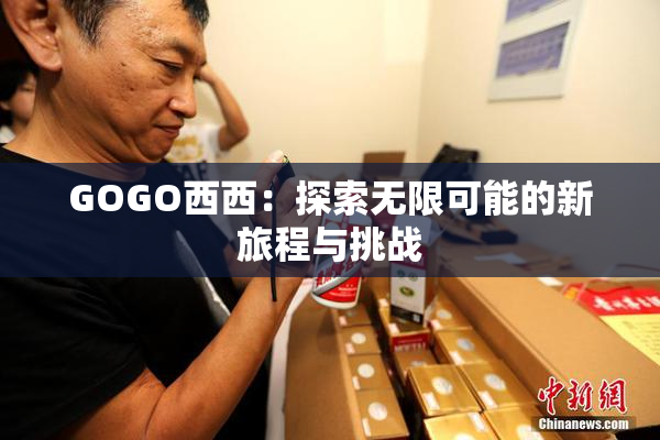 GOGO西西：探索无限可能的新旅程与挑战