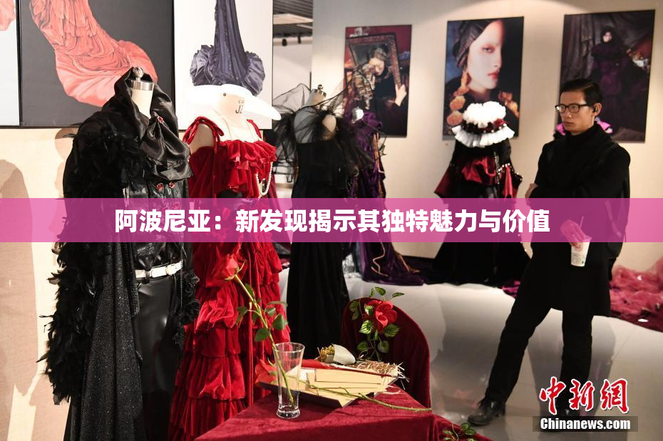 阿波尼亚：新发现揭示其独特魅力与价值