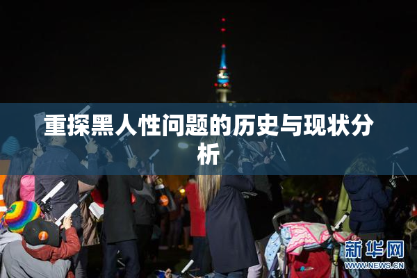 重探黑人性问题的历史与现状分析