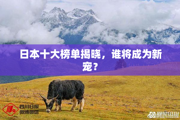 日本十大榜单揭晓，谁将成为新宠？