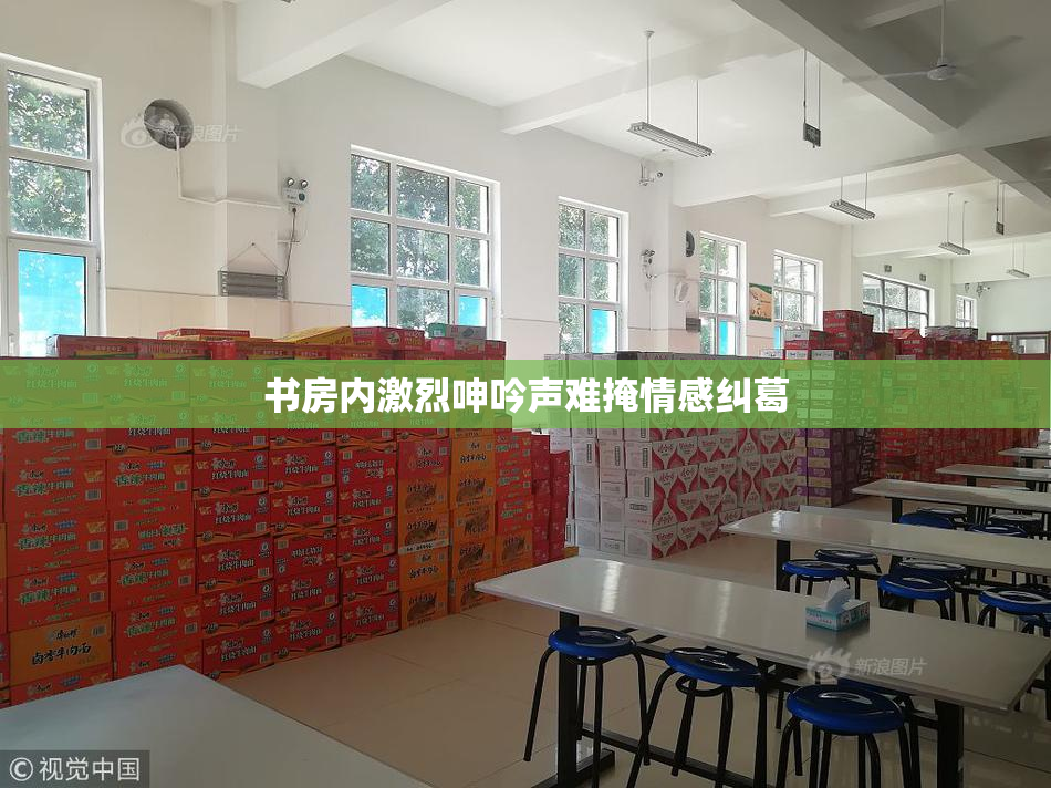 书房内激烈呻吟声难掩情感纠葛