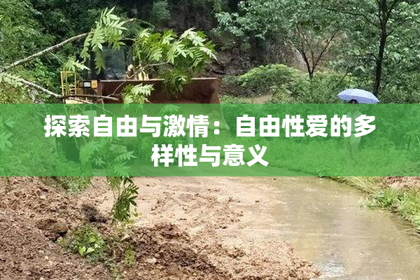 探索自由与激情：自由性爱的多样性与意义