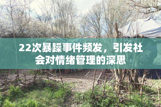 22次暴躁事件频发，引发社会对情绪管理的深思