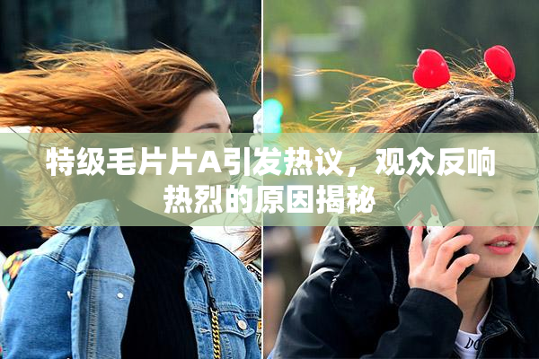 特级毛片片A引发热议，观众反响热烈的原因揭秘