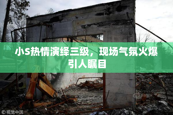 小S热情演绎三级，现场气氛火爆引人瞩目