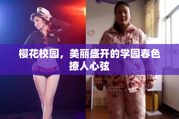 樱花校园，美丽盛开的学园春色撩人心弦