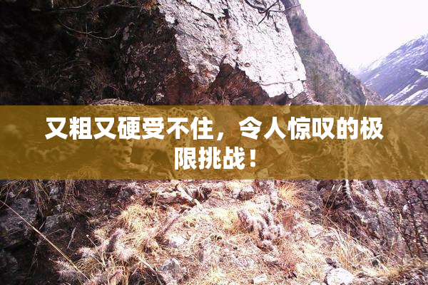 又粗又硬受不住，令人惊叹的极限挑战！