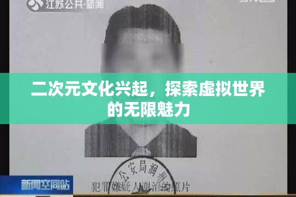 二次元文化兴起，探索虚拟世界的无限魅力