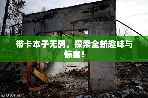 带卡本子无码，探索全新趣味与惊喜！