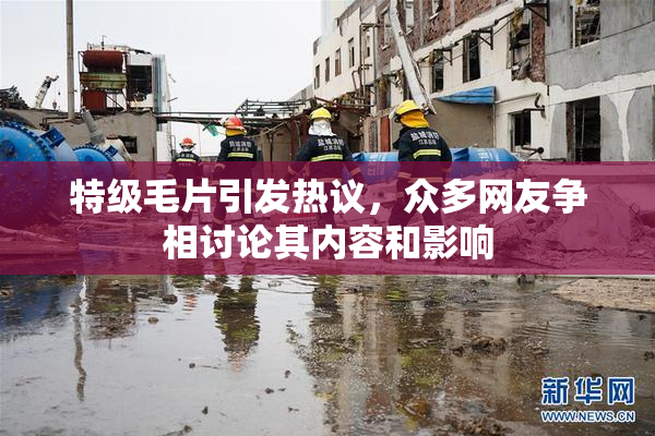 特级毛片引发热议，众多网友争相讨论其内容和影响
