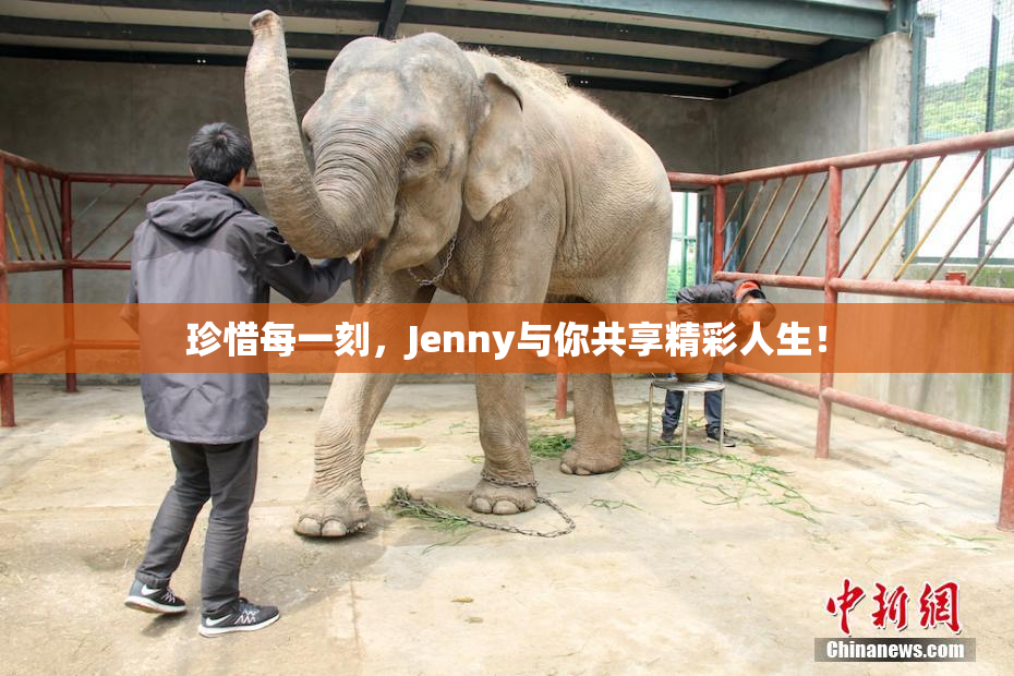珍惜每一刻，Jenny与你共享精彩人生！