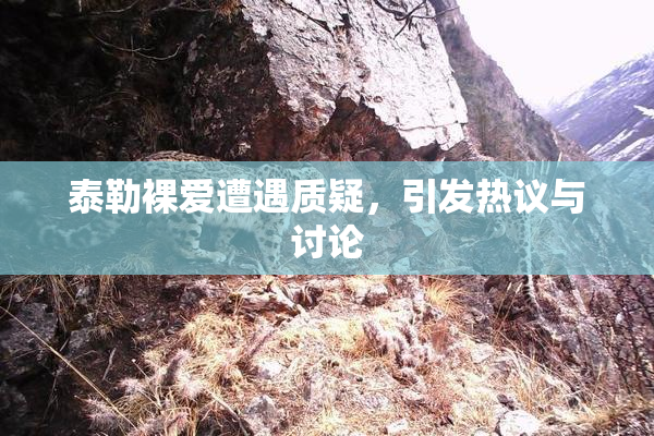 泰勒裸爱遭遇质疑，引发热议与讨论