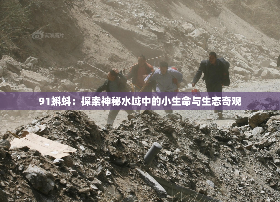 91蝌蚪：探索神秘水域中的小生命与生态奇观